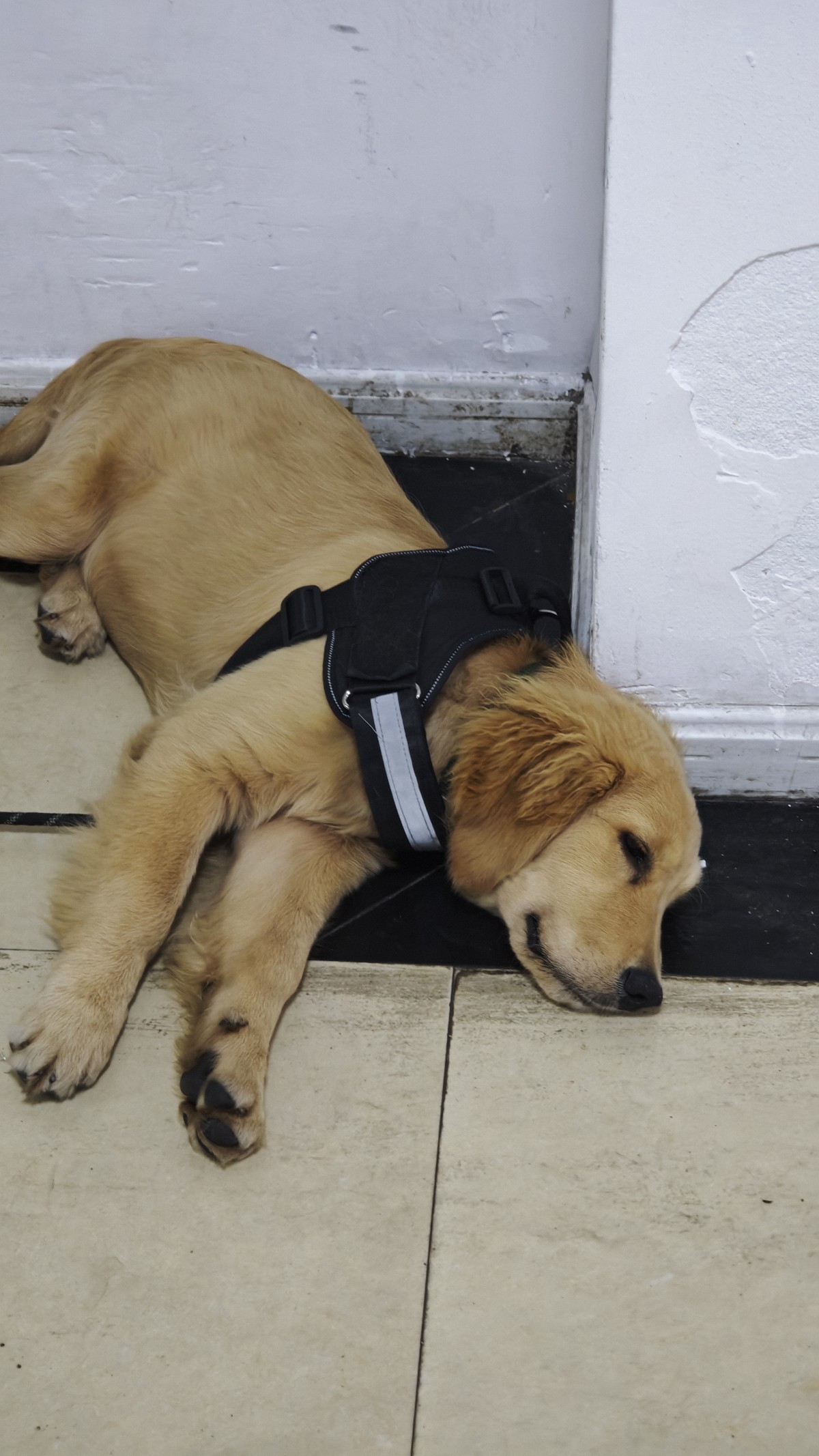 memo image