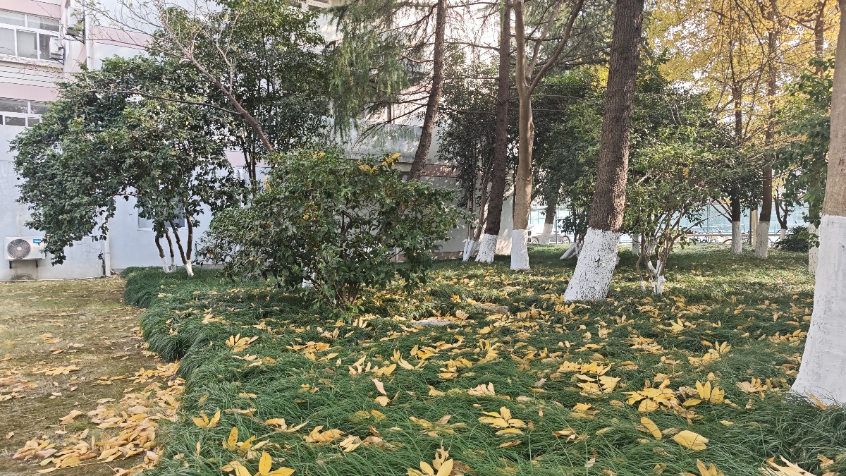 memo image