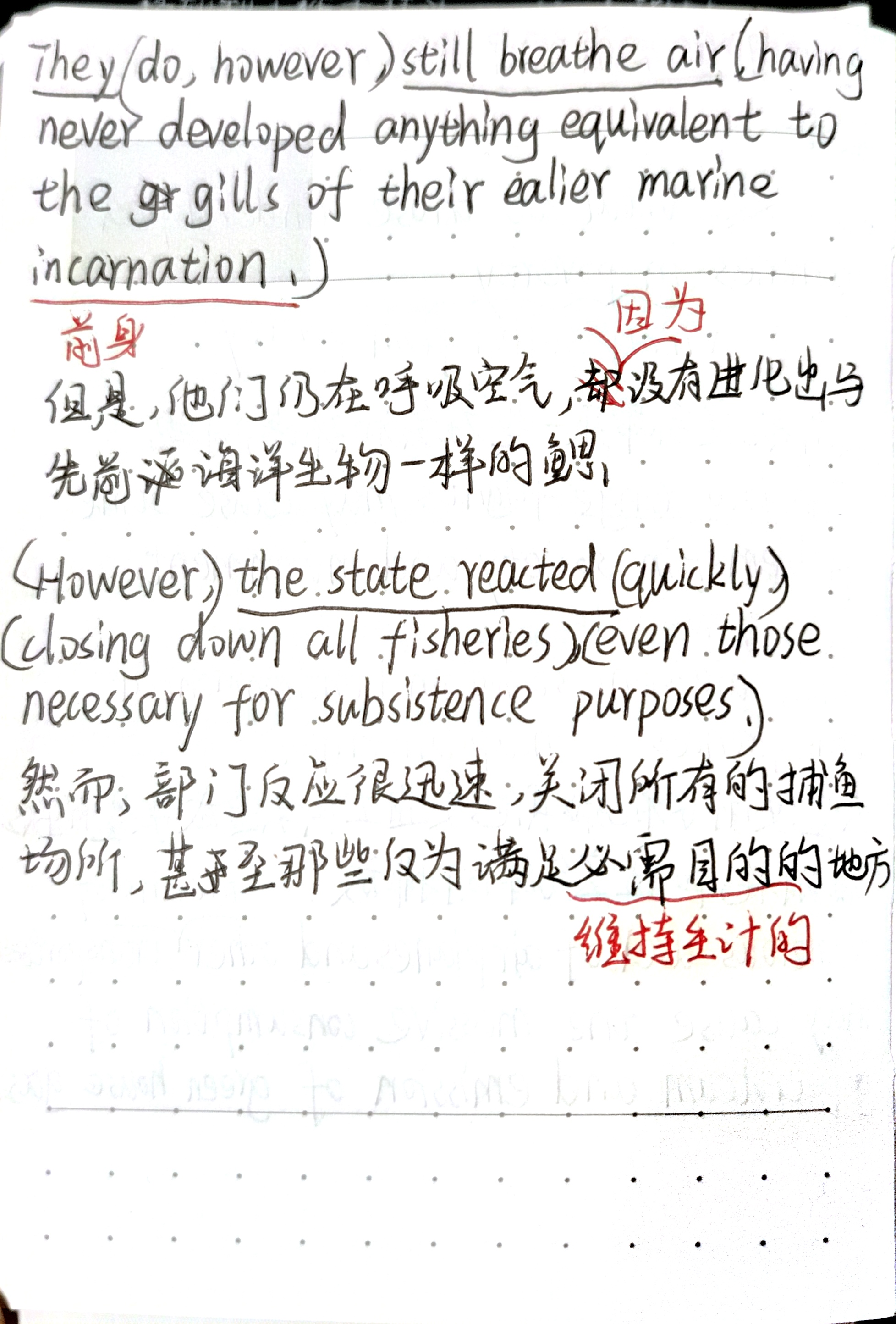 memo image